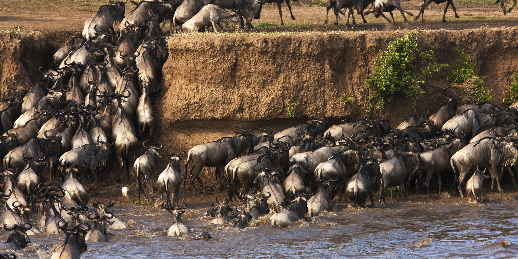 Masai Mara